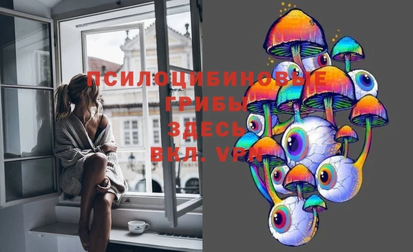метадон Алексин